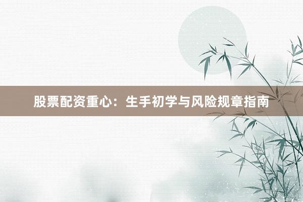 股票配资重心：生手初学与风险规章指南