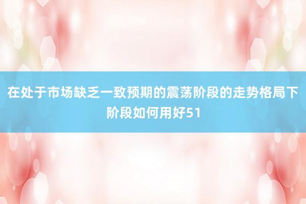 在处于市场缺乏一致预期的震荡阶段的走势格局下阶段如何用好51