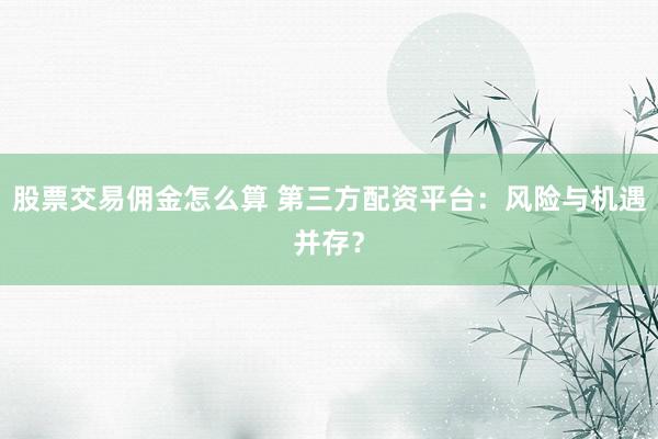 股票交易佣金怎么算 第三方配资平台：风险与机遇并存？