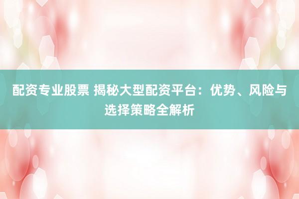 配资专业股票 揭秘大型配资平台：优势、风险与选择策略全解析